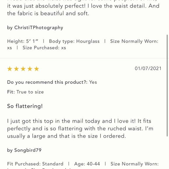 Nwt Carly velour top blue small - Picture 4 of 6